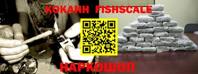 гидра Новодвинск