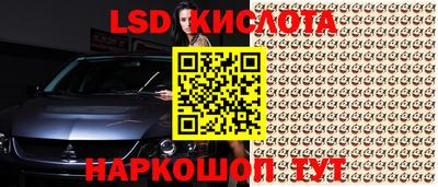 гидра Новодвинск