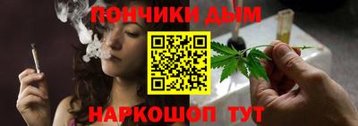 мдпв Новозыбков