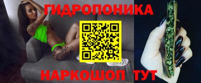 гидра Новодвинск