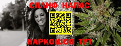 гидра Новодвинск