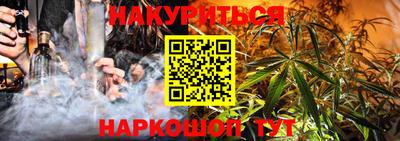 гидра Новодвинск