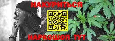 гидра Новодвинск