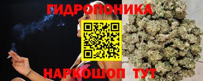 мдпв Новозыбков