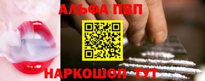 гидра Новодвинск