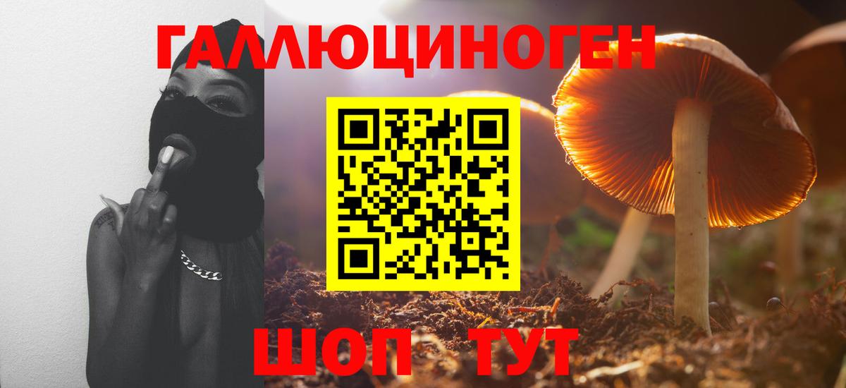 Галлюциногенные грибы GOLDEN TEACHER Углич