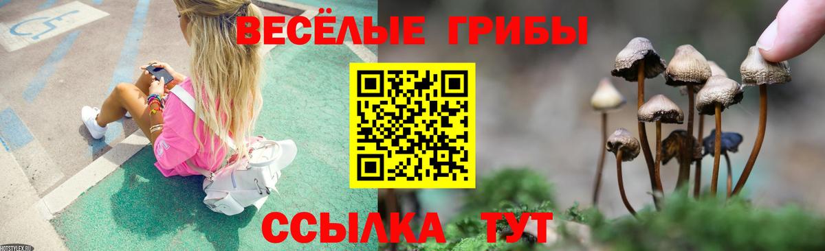 Углич  Псилоцибиновые грибы мухоморы  Вход с VPN 